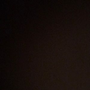 Meet your Posher, Claudia